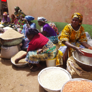 Self Supporting Project: The Gambia